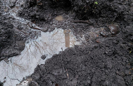 В Западнодвинском округе нашли останки солдата, погибшего в годы ВОВ - новости Афанасий