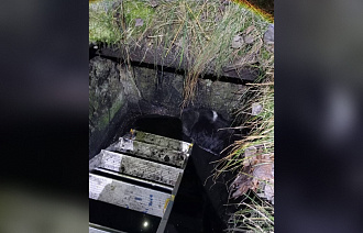 В поселке Редкино пожарные спасли пса, упавшего в выгребную яму - новости Афанасий
