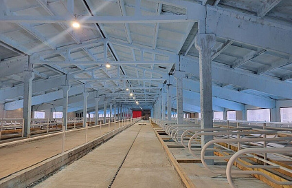 Под Рамешками в Тверской области после реконструкции открыт молочный комплекс - новости Афанасий