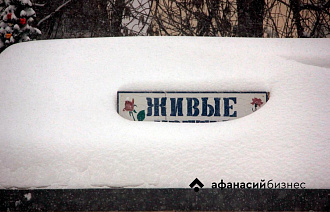 В Твери сегодня скользко 