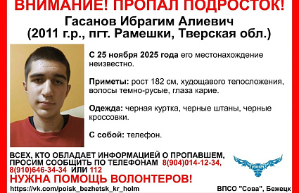 В Рамешках Тверской области пропали двое подростков - новости Афанасий
