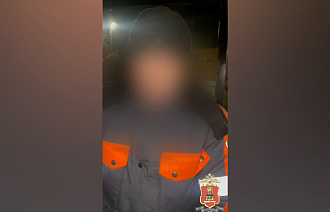 Мужчина в онлайн-игре убедил двух детей из Осташкова прислать интимные фото - новости Афанасий