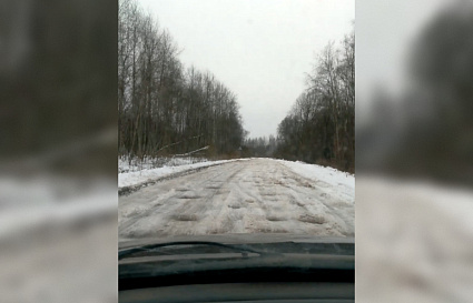 Бастрыкин поручил возбудить дело из-за плохой дороги в Нелидовском округе - новости Афанасий