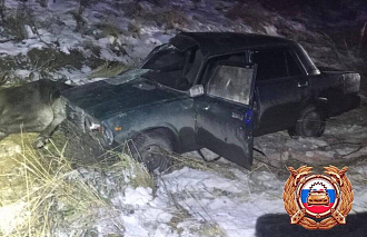 Под Лихославлем в ДТП с лосем пострадали два человека - новости Афанасий