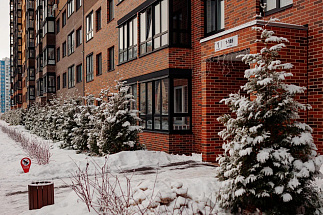 Четыре сезона, одна философия: как погода научила нас быть гибкими - новости Афанасий