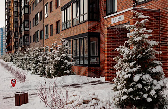 Четыре сезона, одна философия: как погода научила нас быть гибкими - новости Афанасий