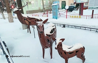 В Тверь возвращается зима