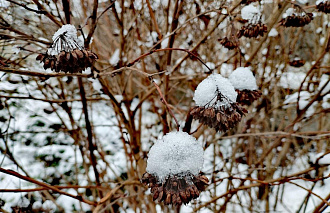 В Твери сегодня – пик потепления