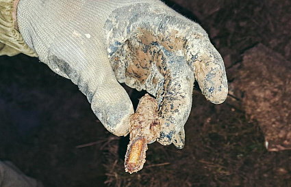 В Зубцове нашли останки двух бойцов, погибших в годы ВОВ - новости Афанасий