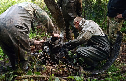 В Тверской области подняли фрагменты Ил-4 и останки летчика - новости Афанасий