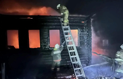 В Лесном районе Тверской области на пожаре пострадали люди - новости Афанасий