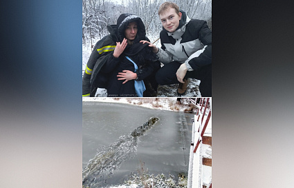 Прохожие спасли собаку, провалившуюся под лед в Бежецке - новости Афанасий