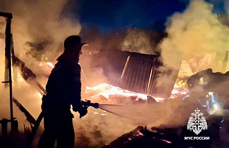 Больше 40 животных погибли на пожаре в Осташковском округе - новости Афанасий