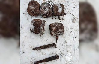 В Бологовском районе нашли кассетные авиабомбы времен ВОВ - новости Афанасий