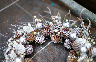 Сегодня в Твери последний теплый день декабря