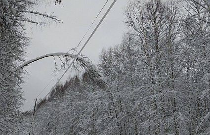 В Тверской области восстанавливают электроснабжение после снегопада - новости Афанасий