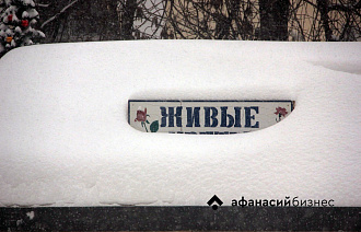 Циклон «Фрэнсис» несет в Тверскую область снежную бурю