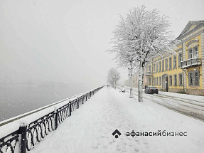 В Тверской области за сутки выпало больше трети месячной нормы осадков