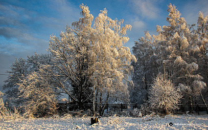 Страшный день. Погода в Твери сегодня расскажет о феврале и июле
