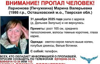 Под Осташковом с 31 декабря ищут пропавшую женщину - новости Афанасий