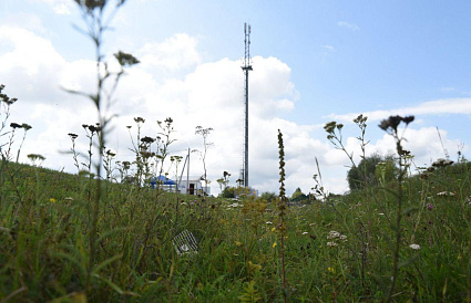 В Тверской области связисты активно строят базовые станции