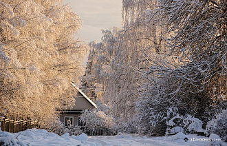 После крепких морозов в Твери потеплеет до +2