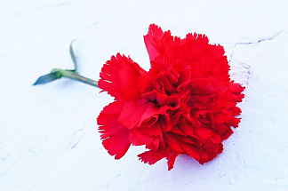 В Торжке простятся с погибшим на СВО Андреем Бауковым - новости Афанасий