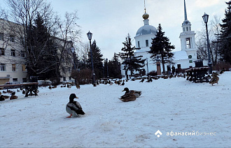 Татьянин день. Погода в Твери сегодня будет морозной
