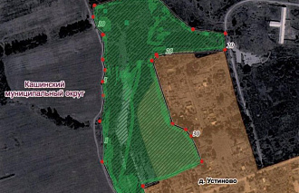 В Тверской области утвердили границы памятника природы площадью 9,2 га - новости Афанасий