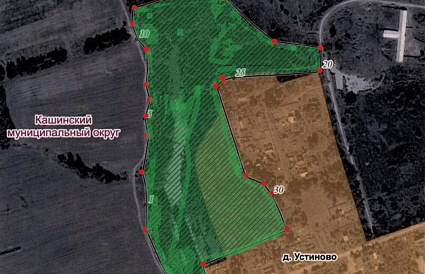 В Тверской области утвердили границы памятника природы площадью 9,2 га - новости Афанасий