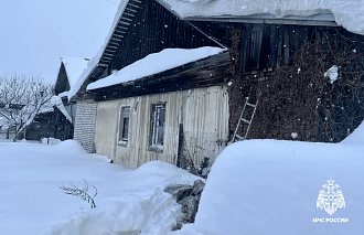 Во Ржеве Тверской области на пожаре спасли собаку и кота - новости Афанасий
