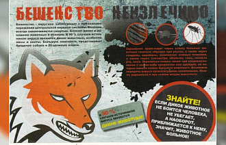 В Максатихе подтвердилось бешенство собаки, число зараженных неизвестно - новости Афанасий