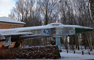 В Тверской области BMW X5 врезался в самолет: водитель не хочет возмещать ущерб - новости Афанасий