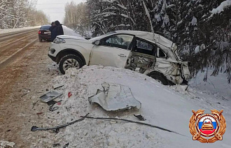 Опубликовано видео смертельного ДТП под Городней в Тверской области - новости Афанасий