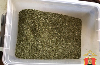 У жителя Тверской области нашли семь контейнеров с марихуаной - новости Афанасий