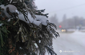 Пик морозов в Твери пройден, но потепление не обещает быть долгосрочным