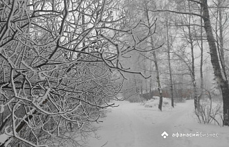 Сегодня температура в Твери начнет заметно повышаться