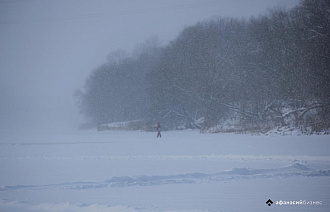 Снежная зима может привести к нашествию насекомых весной - новости Афанасий