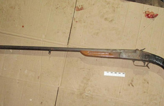 В Тверской области задержали мужчин, убивших молодого лося - новости Афанасий