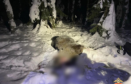 Под Старицей задержан 60-летний браконьер из Твери - новости Афанасий