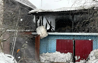 Собака спасла жильцов дома от пожара в Торжке - новости Афанасий