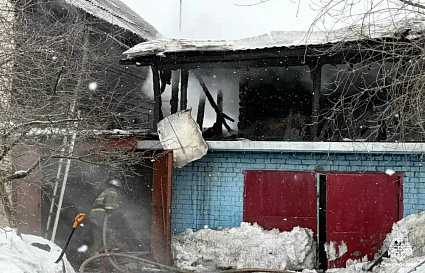 Собака спасла жильцов дома от пожара в Торжке - новости Афанасий