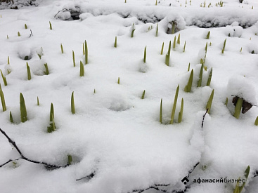  Тверским аграриям напомнили о новом способе получения сведений о земле - новости Афанасий