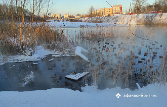 В Тверскую область вернулись 30-градусные морозы
