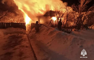 На пожаре в Торжокском районе погибла женщина - новости Афанасий