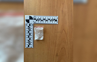 На ж/д станции в Вышнем Волочке задержали пассажира с «синтетикой» - новости Афанасий