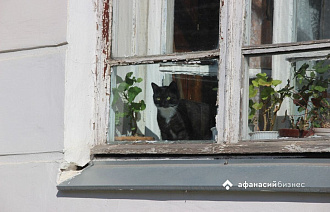 Прогноз погоды в Твери будет зависеть от циклонов с юга и запада