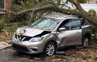 Инвалид из Твери взыскал ущерб, причиненный его Nissan упавшими ветвями дерева - новости Афанасий