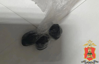 В Тверской области женщина прятала наркотики в нижнем белье - новости Афанасий