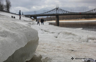 В ближайшие дни в Твери станет теплее